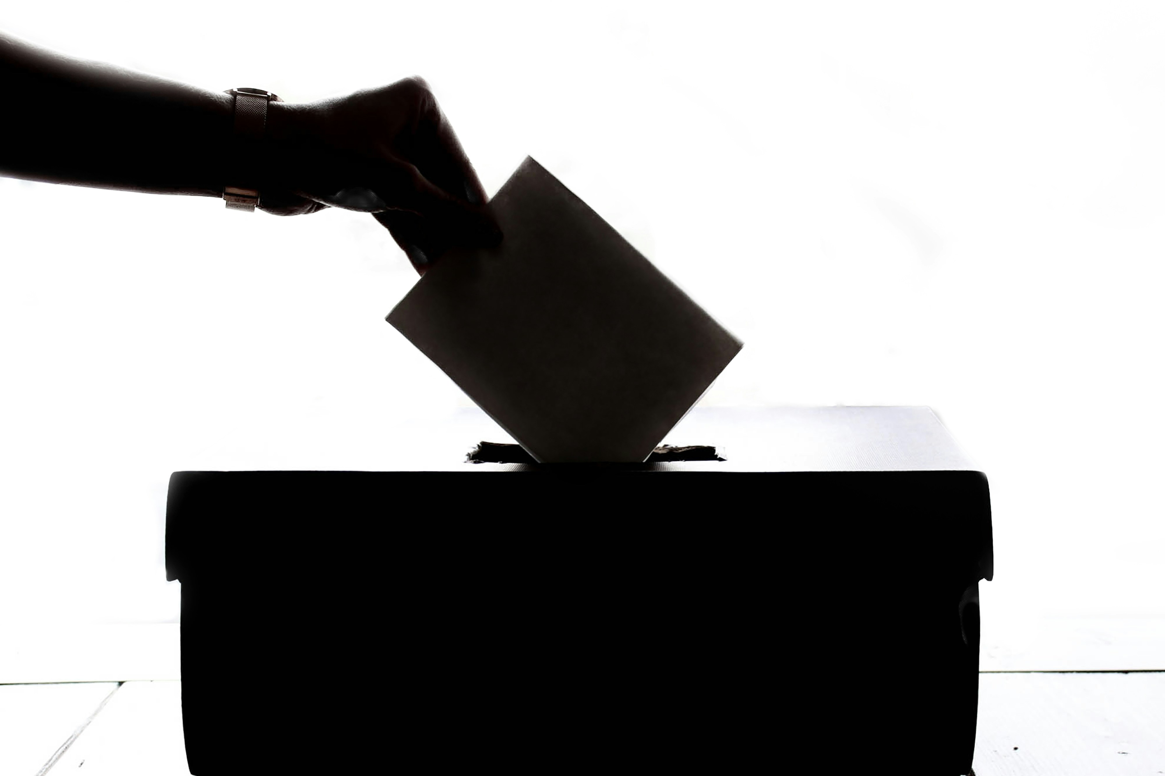 Ballot Paper Voting Website Header 